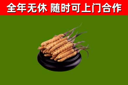 南投县烟酒回收冬虫夏草.jpg